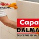 Filli boya Capatect Dalmaçyalı Mantolama paket Fiyatları